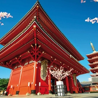 tourhub | Saga Holidays | Grand Tour of Japan 