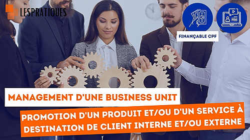 Représentation de la formation : Management d'une business unit (certifiant)