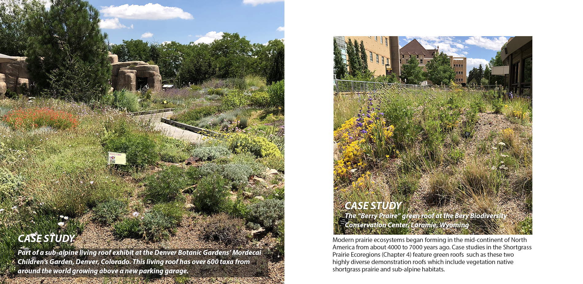 Green Roofs along the Front Range of the Rocky Mountains (Chapter 4)