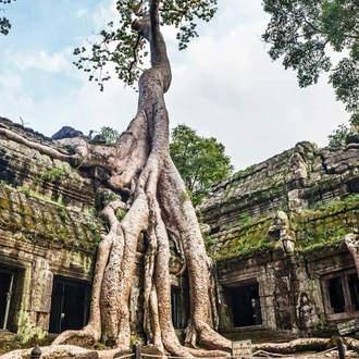 tourhub | LVP Travel Vietnam | AUTHENTIC OF VIETNAM & CAMBODIA - 14 DAYS 