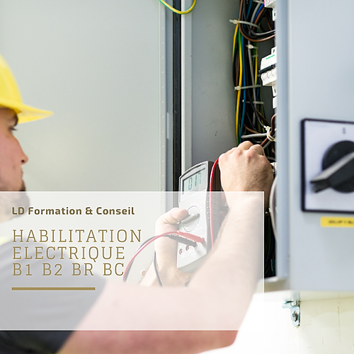 Représentation de la formation : Habilitation électrique B1 B2 BR BC