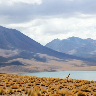 tourhub | Unu Raymi Tour Operator & Lodges | Trek & Climb: Ojos del Salado – 10-12 Days 