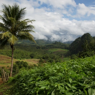 tourhub | G Adventures | Northern Thailand Hilltribes Trek 