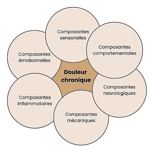 Représentation de la formation : Soigner les différentes aspects de la douleur chronique 