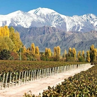 tourhub | Signature DMC | 3-Days Getaway for Wine lovers - Mendoza Experience! 