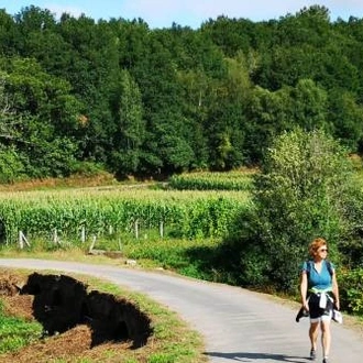 tourhub | UTracks | Camino Sanabrés to Santiago 