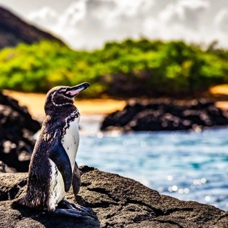 tourhub | Encounters Travel | Best of the Galapagos 