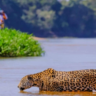 tourhub | Explore! | Pure Brazil 