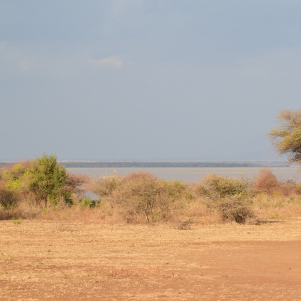 Tanzania Serengeti Migration 6 Days