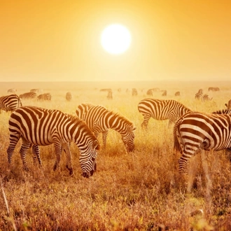 tourhub | Nomad Explorer Tours | 4-Day Serengeti & Ngorongoro Crater Lodge Safari 