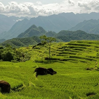 tourhub | Mr Linh's Adventures | 2-day Trekking and Motorbike in Ba Be National Park 