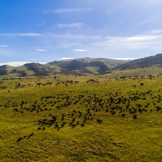 tourhub | Beach and Safari Holidays | Tanzania's Iconic Safari Adventure: From Savannah to Crater 