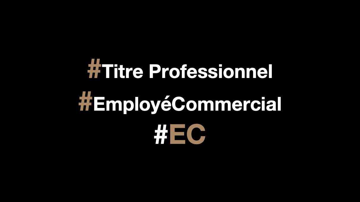 Représentation de la formation : Titre Professionnel Employé Commercial