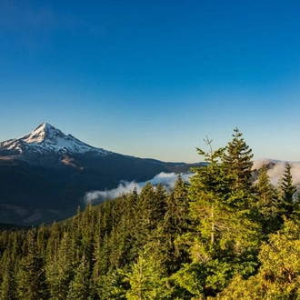 tourhub | Trafalgar | Best of the Pacific Northwest 