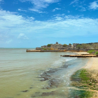 tourhub | Agora Voyages | Gujarat Historical Tour That Uncover A Legendary Past 