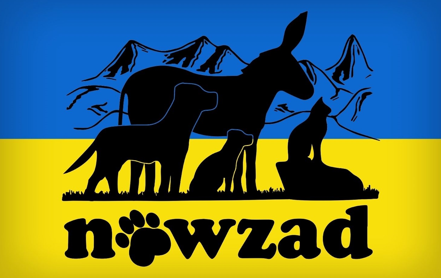 Nowzad logo