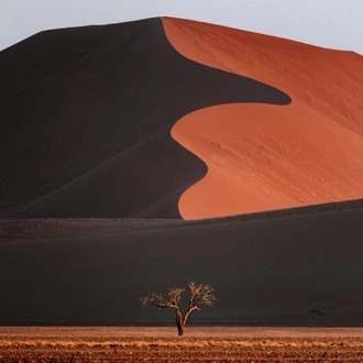 tourhub | Chameleon Safaris Namibia | 4 Day Swakopmund & Sossusvlei Accommodated Adventure 