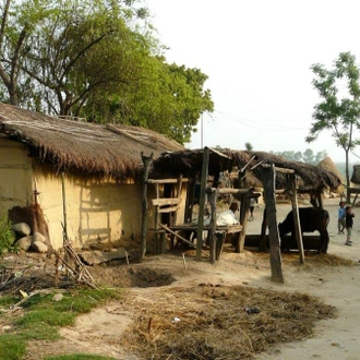 tourhub | Bamba Travel | Chitwan National Park Adventure 3D/2N (from Kathmandu) 