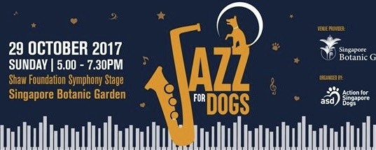 Jazz For Dogs