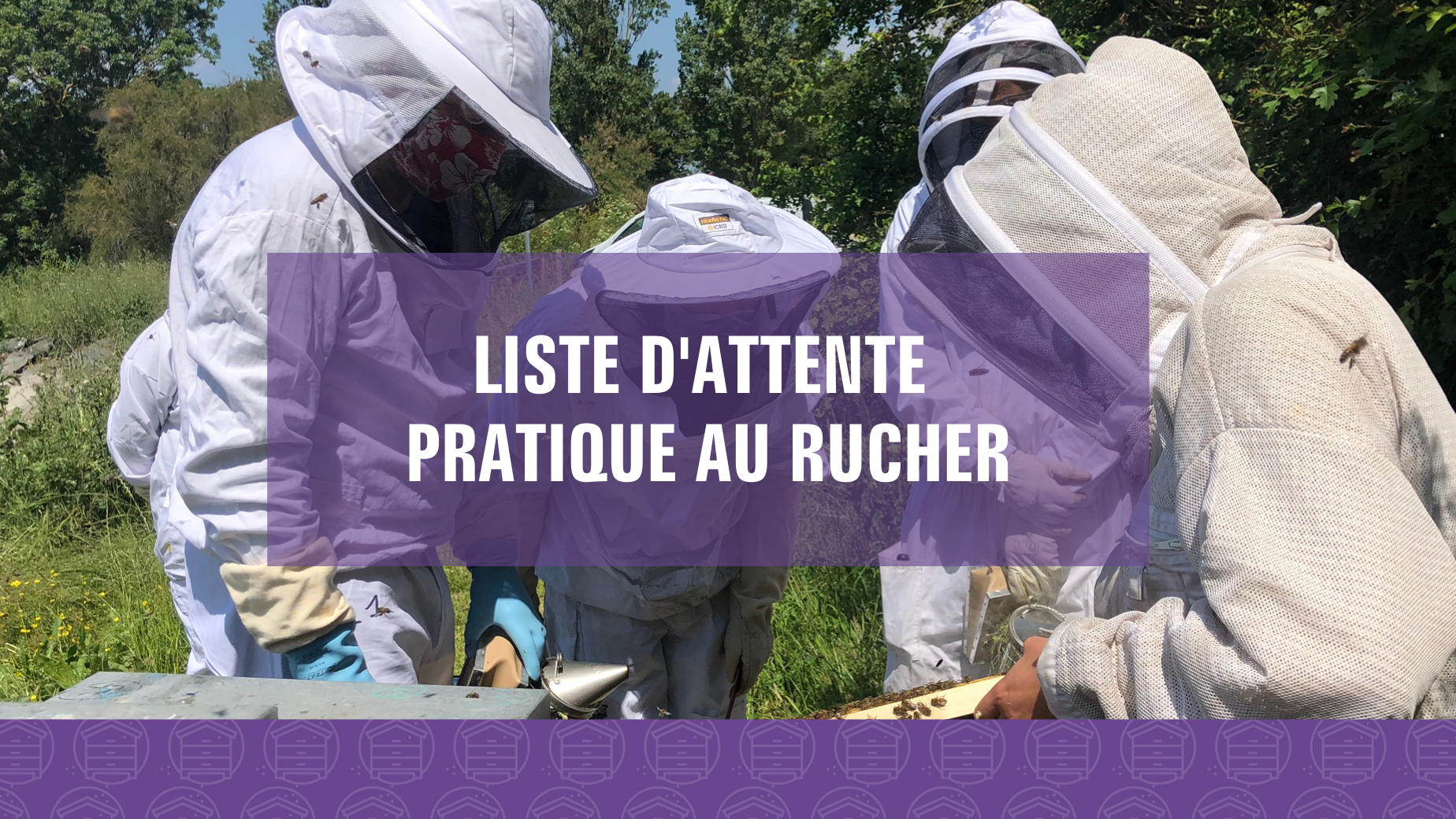 Représentation de la formation : Pratique au rucher : Se lancer en apiculture (Liste d'attente)