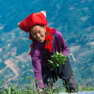 tourhub | Topas Travel | Vietnam Sapa Trek - Trails of the Red Dzao 