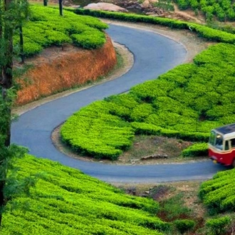 Kerala Luxury Package for 7-days from Cochin includes,Hotel,Houseboat & Vehicle