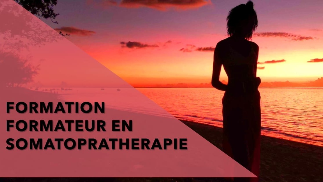 Représentation de la formation : Formation formateur et assistant en Somatothérapie