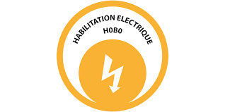 Représentation de la formation : Habilitations Electriques – B0-H0-H0V Initial / Recyclage 