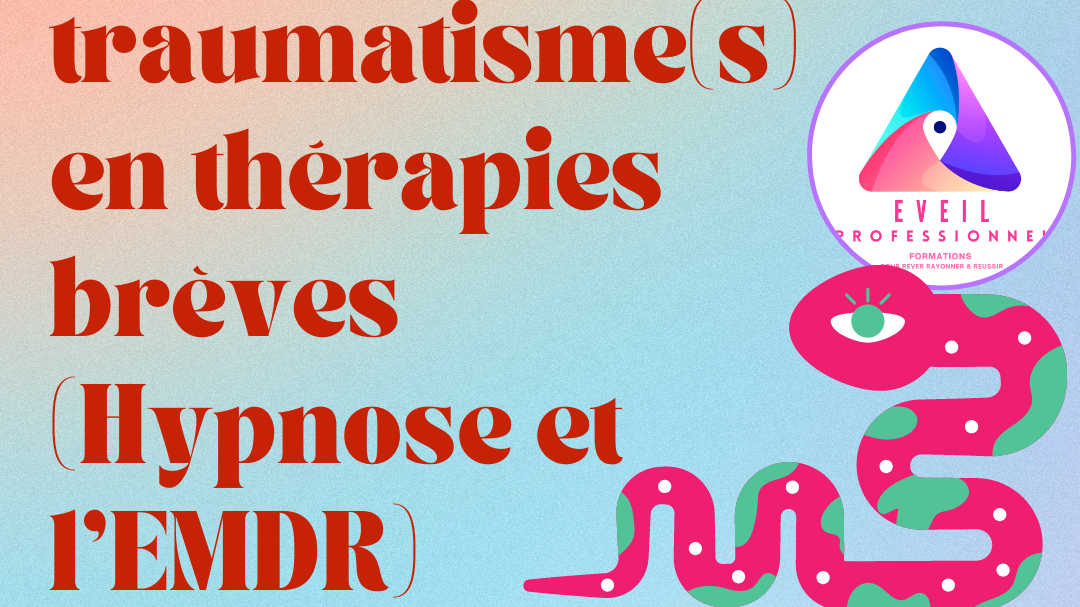 Représentation de la formation :  Formation "Gestion des traumas par les thérapies douces (Hypnose & EMDR-SBA...)