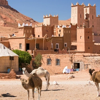 tourhub | Destination Services Morocco | Ouarzazate Overnight, 4 days, Private tour 