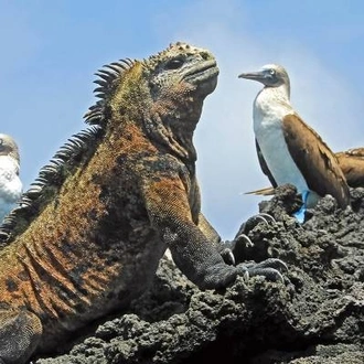 tourhub | On The Go Tours | Galapagos Encompassed - 17 days 