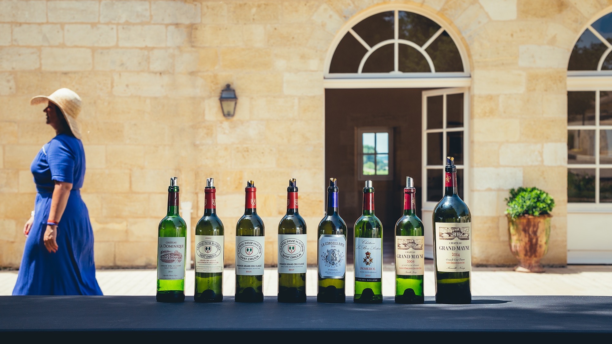 Représentation de la formation : Les Vins de Bordeaux, Terroirs et Vins 