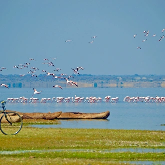 tourhub | Beach and Safari Holidays | From Zanzibar: 4 days safari and Breathtaking Lake Natron 