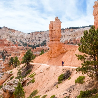 tourhub | Exodus Adventure Travels | Canyons and Navajo Lands 