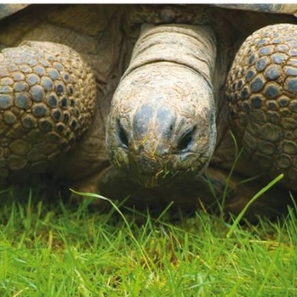 tourhub | World Expeditions | Galapagos Islands on Beluga 