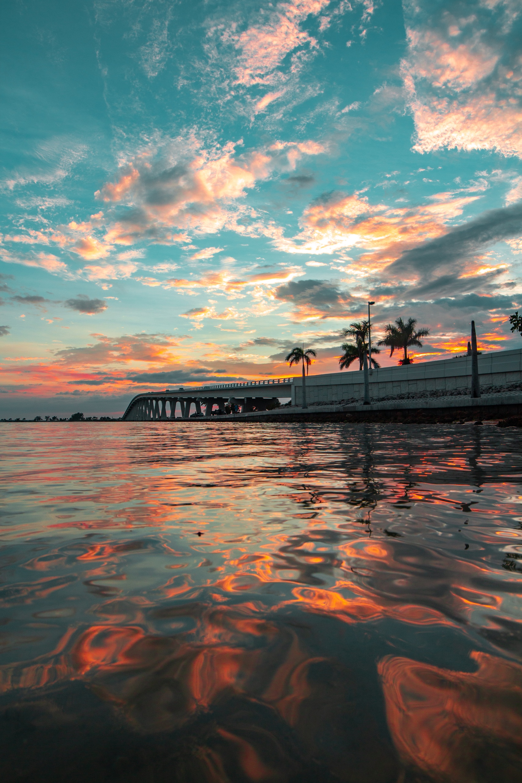 Good Morning Dolphin Jet Ski Tour