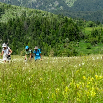 tourhub | Exodus Adventure Travels | Bulgaria: Rodopi Mountains 