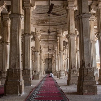 tourhub | Agora Voyages | Royal Rajasthan & Spiritual Gujarat with Sasangir NP 
