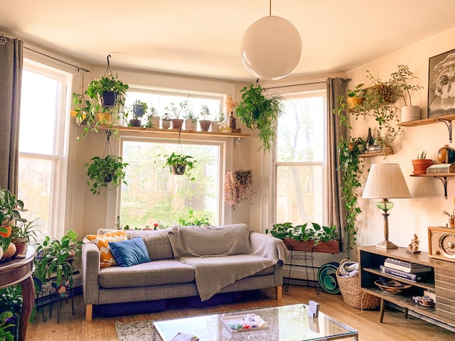 What You Need for Indoor Gardening in Singapore