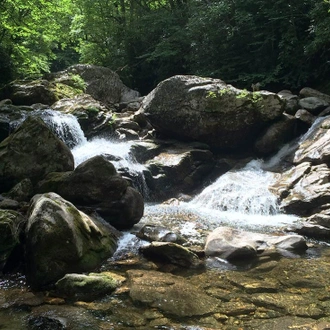 tourhub | Intrepid Travel | Hiking and Backpacking North Carolina's Appalachian Mountains 