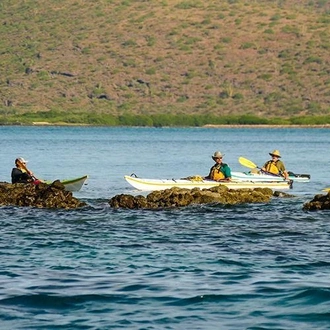 tourhub | Bamba Travel | Baja Kayak Quick Adventure 4D/3N (Cooperatively Catered) 