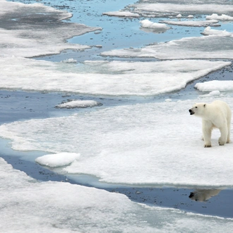 tourhub | Exodus Adventure Travels | Svalbard Explorer: Best of High Arctic Norway (2025) 