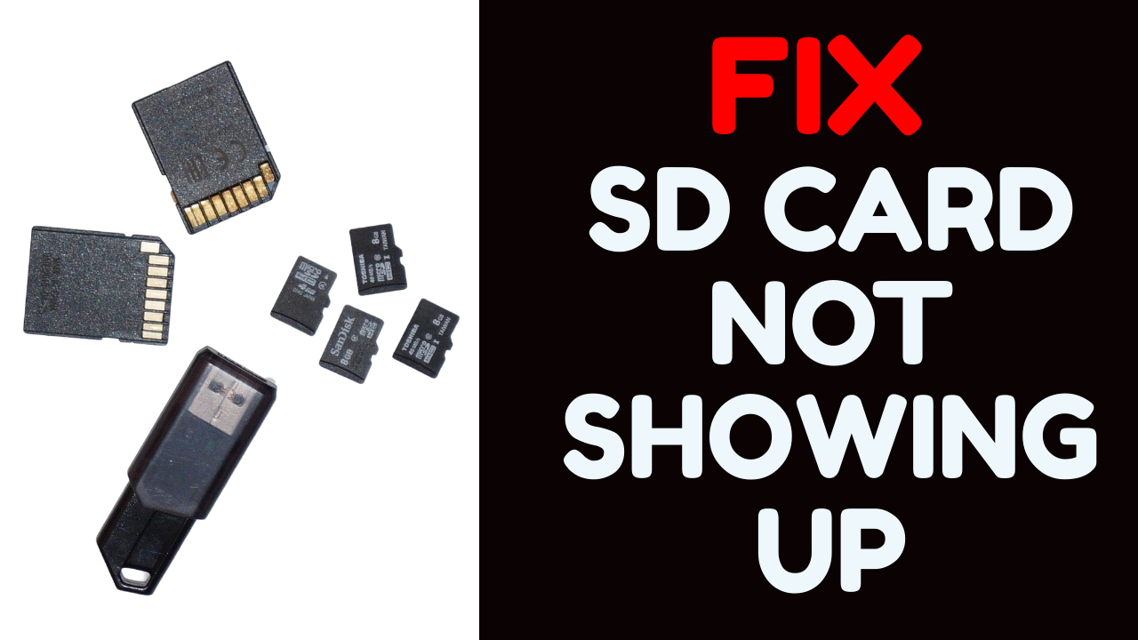 Fix Sd Card Not Showing Up