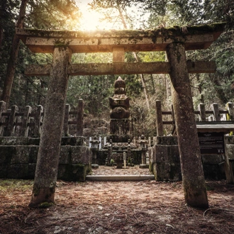 tourhub | Intrepid Travel | Japan: Koya-san & Kumano Kodo Trek 