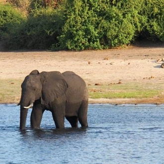 tourhub | World Expeditions | Botswana and Zimbabwe Explorer 