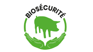 Représentation de la formation : Biosécurité en élevage de porcs 
