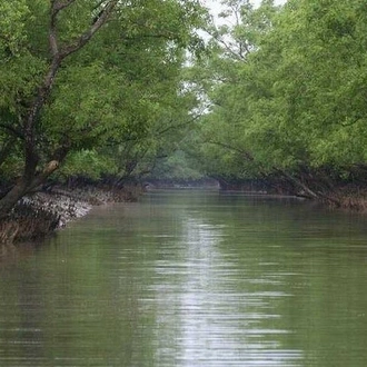 tourhub | Agora Voyages | Kolkata & Sunderban Mangrove Forest 