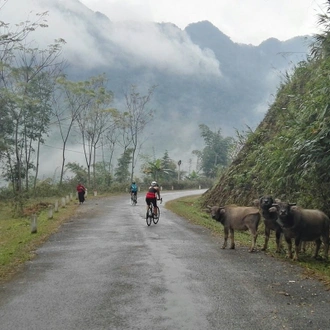 tourhub | SpiceRoads Cycling | Road Biking the Ho Chi Minh Highway 