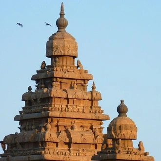 tourhub | Agora Voyages | Temple, Backwater & Palaces of South India 