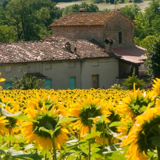 tourhub | Exodus Adventure Travels | Cycling the Wine Villages of Piedmont 